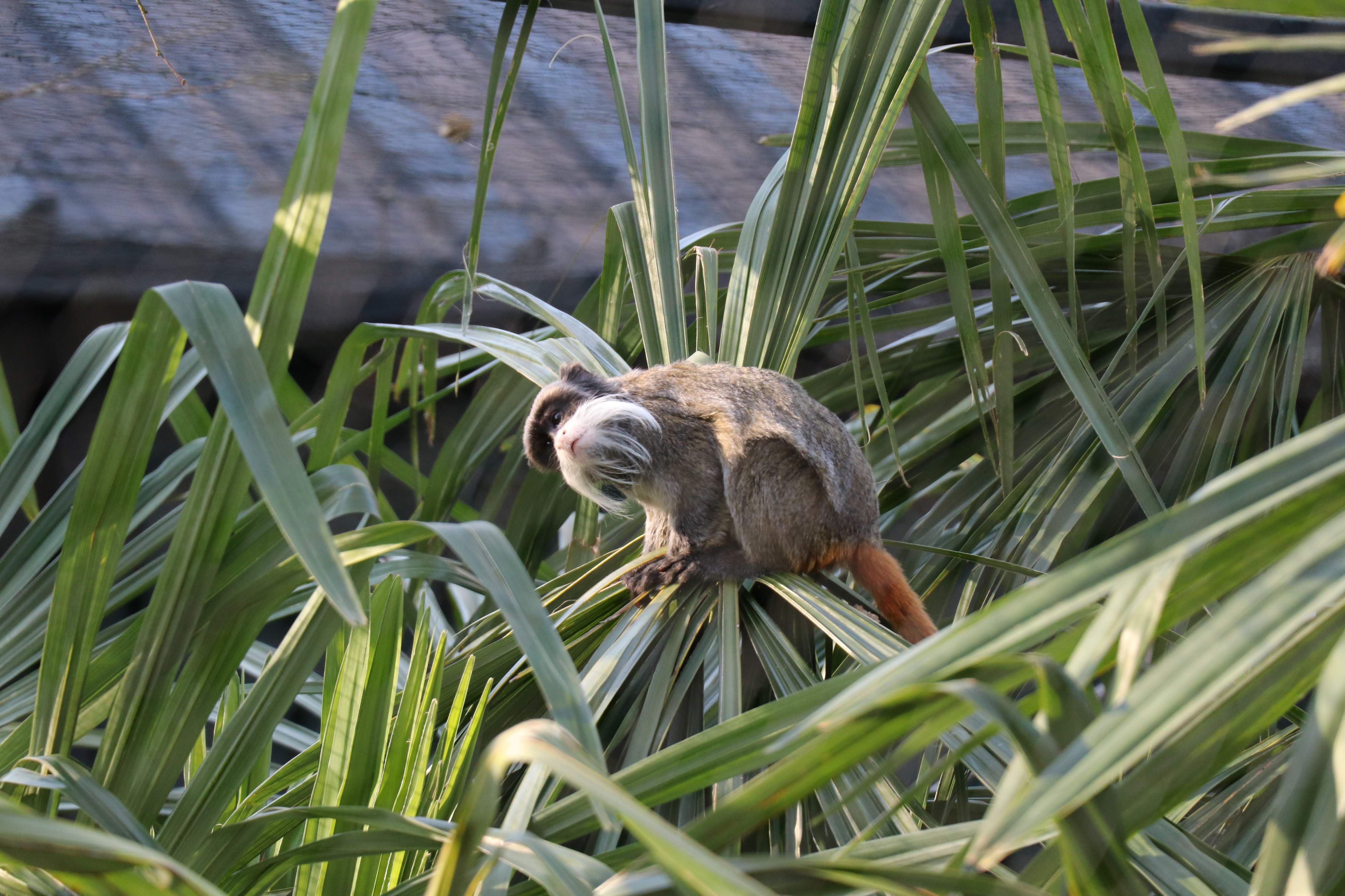 Photo n° 12 de l'avis de Julien.a fait le 21/04/2019 à 07:39