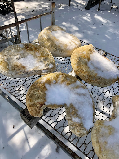 Gift Shop «Stone Hut Fossil Shop», reviews and photos, 1184 FM 205, Glen Rose, TX 76043, USA