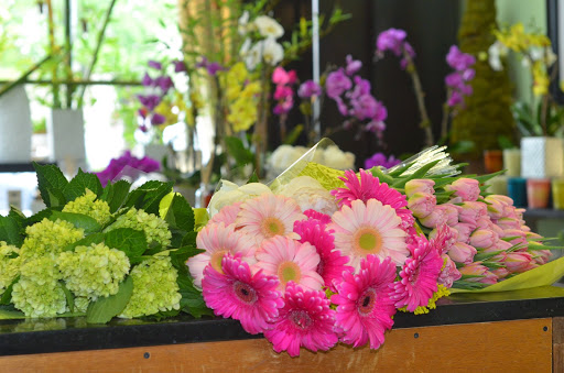 Florist «Lane Florist», reviews and photos, 6616 Snider Plaza, Dallas, TX 75205, USA