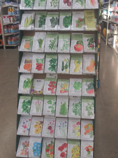 Hardware Store «Great Lakes Ace Hardware», reviews and photos, 132 Merriman Rd, Westland, MI 48186, USA