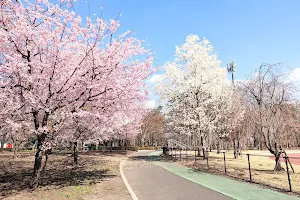 Sakura City Park image