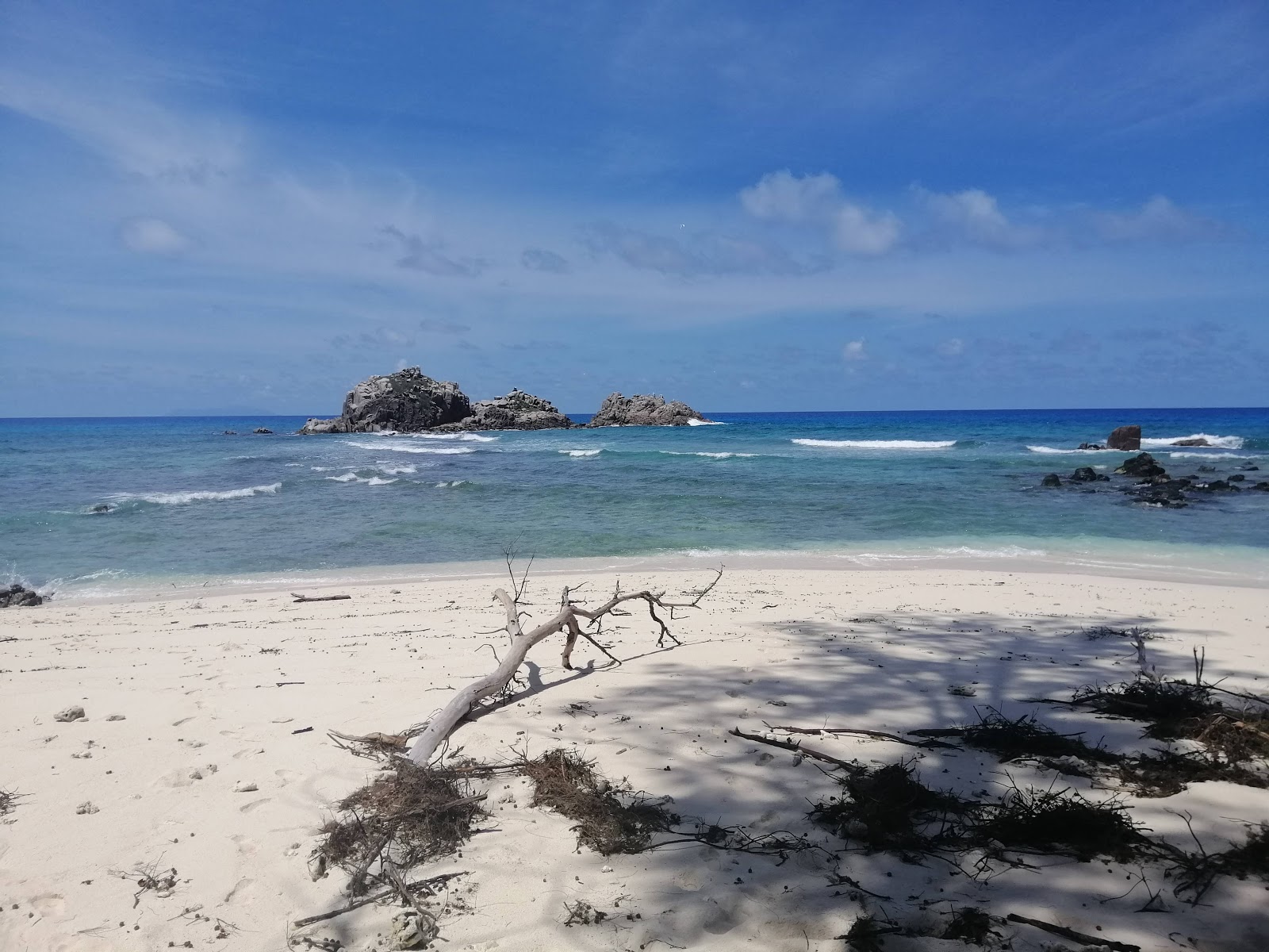 Foto de Cousin Island Beach II con muy limpio nivel de limpieza