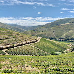 Photo n°15 de l'avis de Street.i fait le 21/08/2020 à 22:51 sur le  Quinta Nova Nossa Senhora do Carmo à Quinta Nova