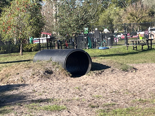 Dog Park «Achieva Paw Park», reviews and photos, 1659 Virginia St, Dunedin, FL 34698, USA