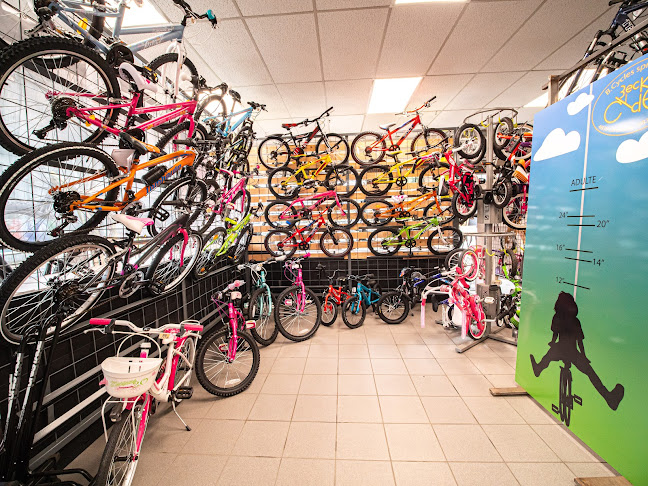 Beoordelingen van Becker Cycles in Verviers - Fietsenwinkel