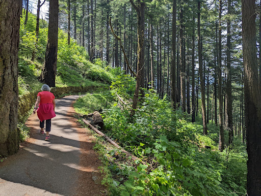 Tourist Attraction «Wahkeena Falls», reviews and photos, Wahkeena Trail #420, Corbett, OR 97019, USA