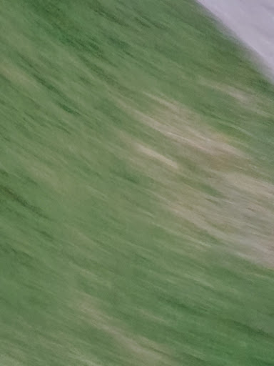 Park «Josiah Cephus Weaver Park», reviews and photos, 1258 Bayshore Blvd, Dunedin, FL 34698, USA