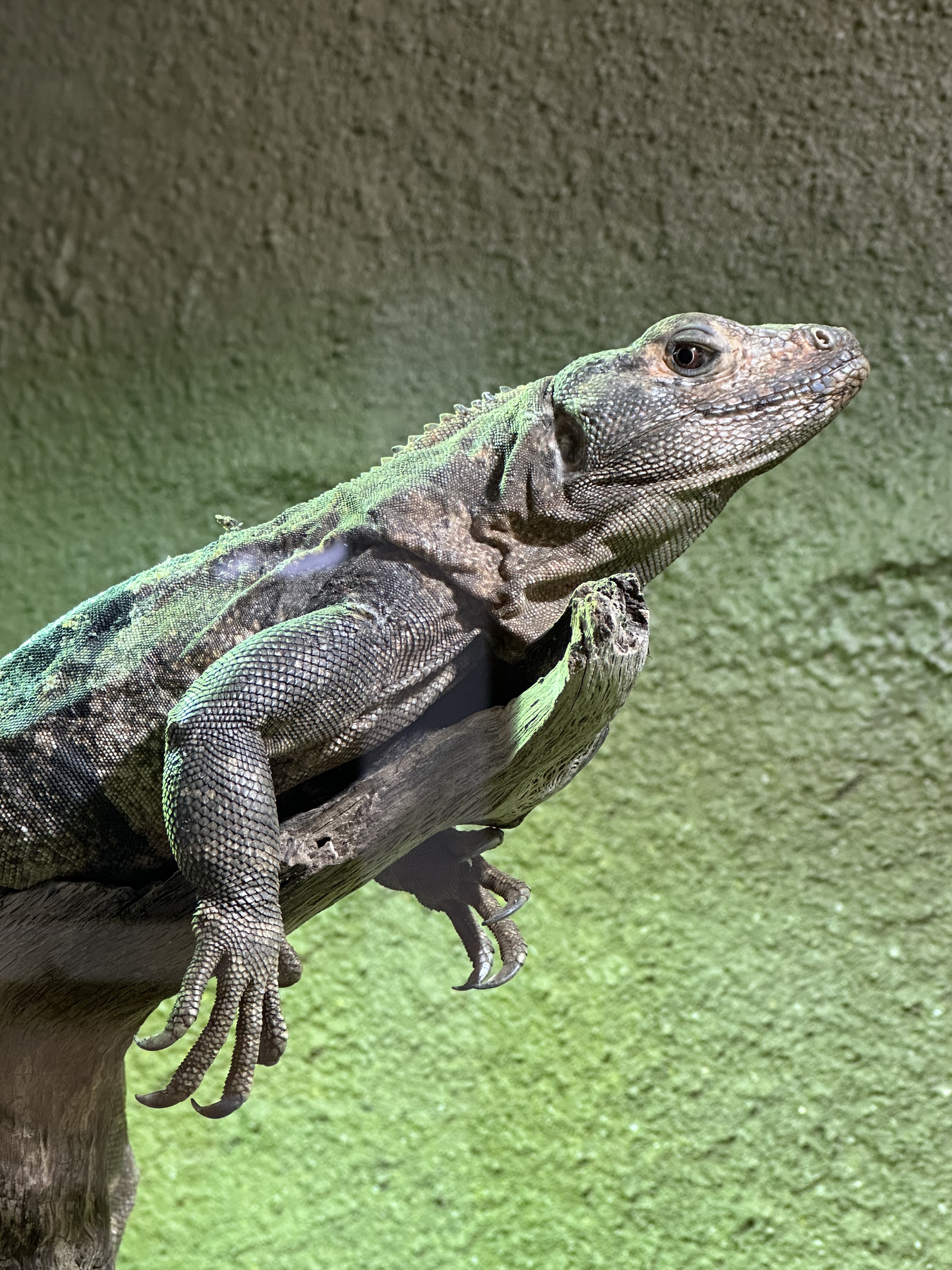 Photo n° 3 de l'avis de Margaux.o fait le 19/07/2023 à 22:17