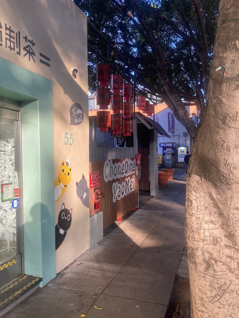 Chong Qing YaoMei Hotpot 91105