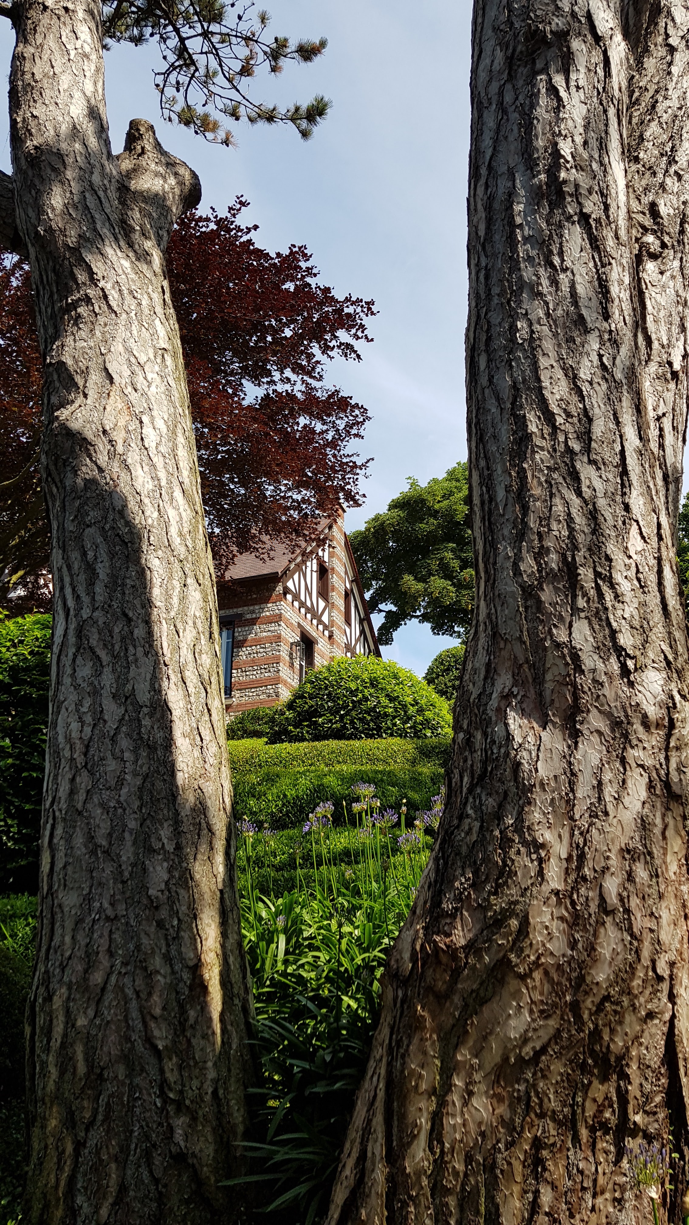 Photo n° 8 de l'avis de Tirlipinpon.u fait le 07/07/2018 à 19:32