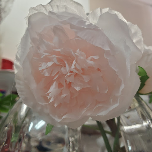 Florist «Fleur Flower Boutique. Order flowers Online», reviews and photos, 16167 Biscayne Blvd, North Miami Beach, FL 33160, USA