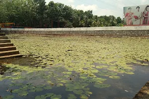 Pannivizha Pond image