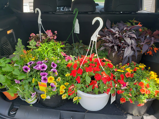 Home Improvement Store «Menards», reviews and photos, 1400 US-12, Fox Lake, IL 60020, USA