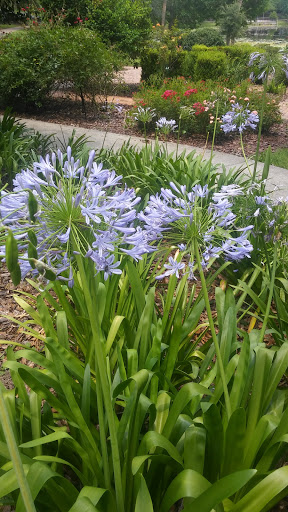 Park «Lake Lily Park», reviews and photos, 900 S Orlando Ave, Maitland, FL 32751, USA