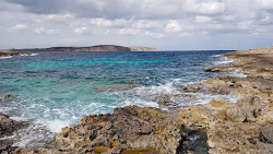 Photo de Coral Beach avec un niveau de propreté de très propre