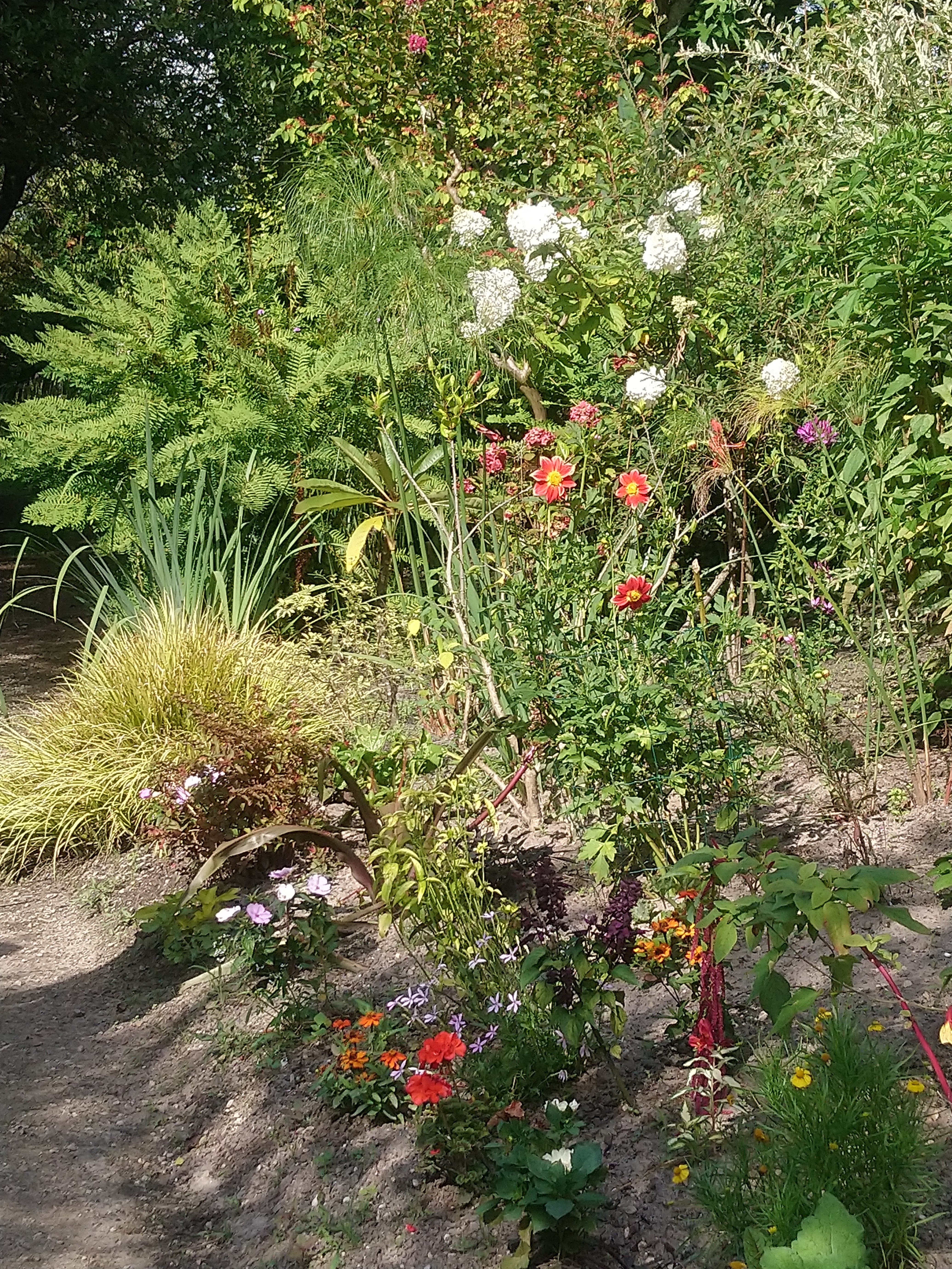 Photo n° 2 de l'avis de karine. fait le 10/07/2020 à 16:43