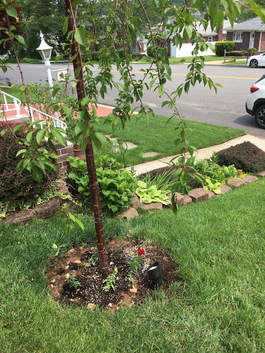 Electrician «Bilco Electric and Datacom, LLC- Electrician Staten Island», reviews and photos, 313 Oldfield St, Staten Island, NY 10306, USA