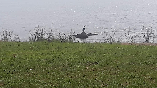 Park «Morse Park», reviews and photos, Morse Ave, West Haven, CT 06516, USA