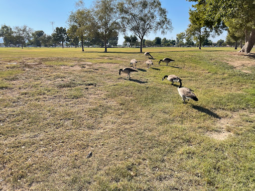 Park «Cesar Chavez Park», reviews and photos, 7858 S 35th Ave, Laveen Village, AZ 85339, USA