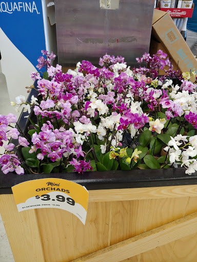 Grocery Store «Grocery Outlet Bargain Market», reviews and photos, 1320 Railroad Ave, Livermore, CA 94550, USA