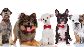 Pet Designers Spa Peluquería Canina