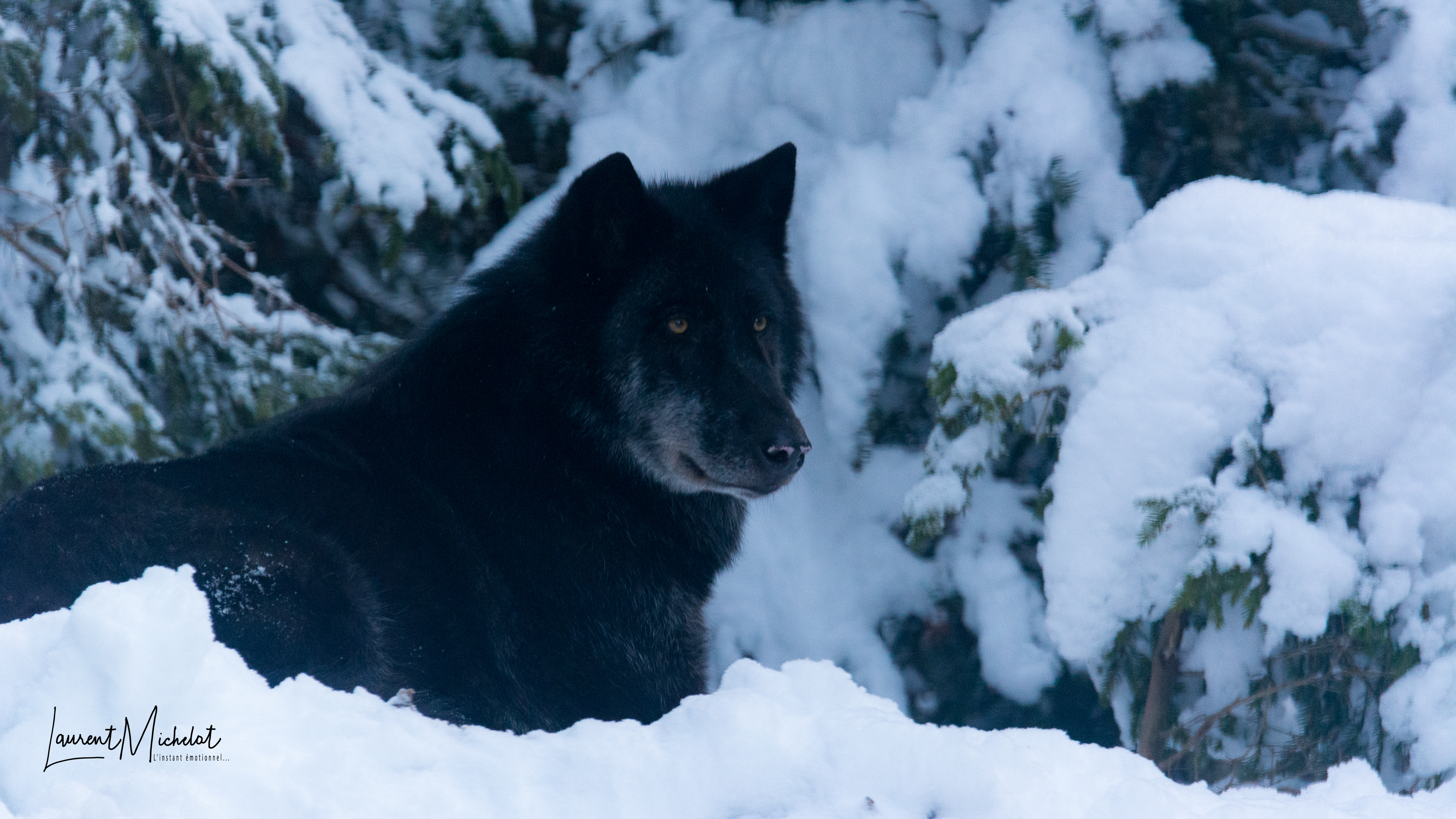 Photo n° 4 de l'avis de Laurent.i fait le 30/01/2018 à 08:30