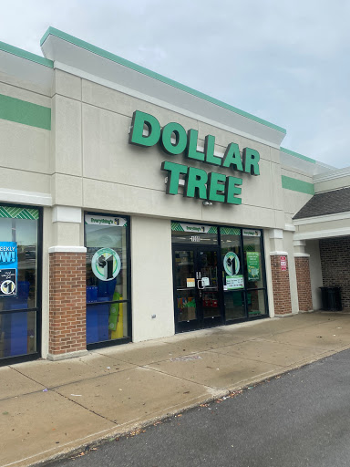 Dollar Store «Dollar Tree», reviews and photos, 1090 State St, Lemont, IL 60439, USA
