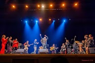 Festival Flamenco Romi