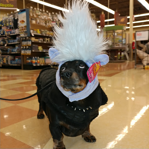 Pet Supply Store «Petco Animal Supplies», reviews and photos, 3637 2700 W, West Valley City, UT 84119, USA