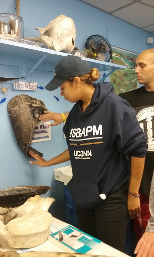 Aquarium «Explore the Ocean World, llc Oceanarium», reviews and photos, 367 Ocean Blvd, Hampton, NH 03842, USA