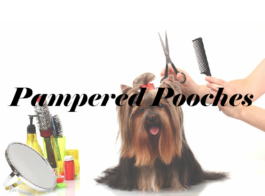 Pampered Pooches