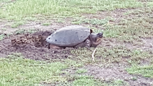 Golf Course «King Rail Reserve Golf Course», reviews and photos, 1 King Rail Dr, Lynnfield, MA 01940, USA