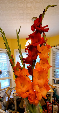 Rachel's Music Garden, LLC - Photo 4 - Car repair in Dearborn, MI, Detroit