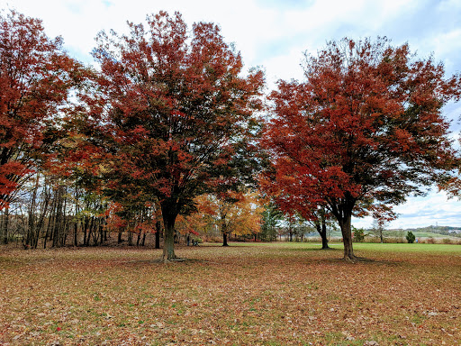State Park «Cheesequake State Park», reviews and photos, 300 Gordon Rd, Matawan, NJ 07747, USA