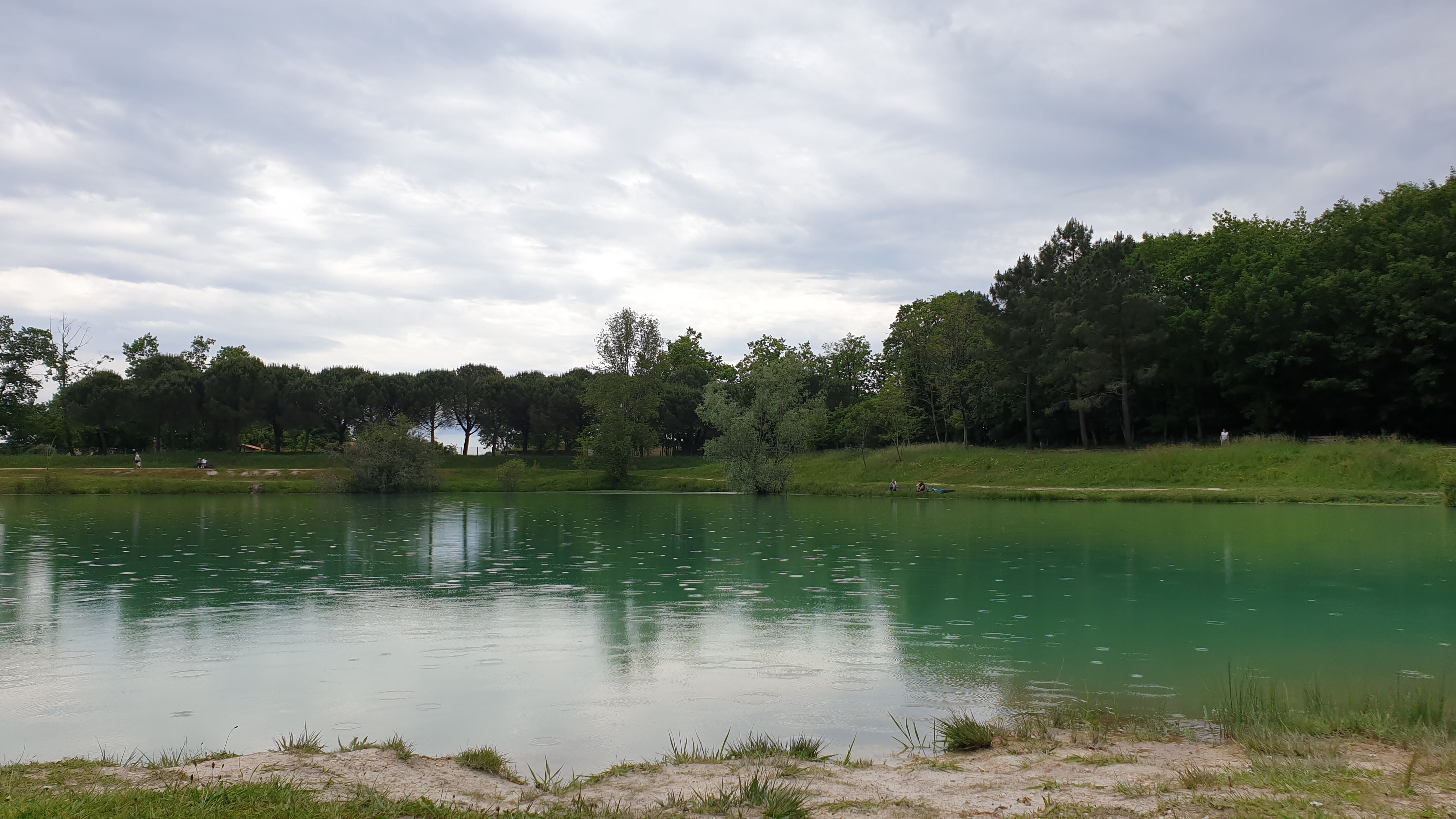 Photo n° 4 de l'avis de Diffuseur.t fait le 29/05/2021 à 18:37