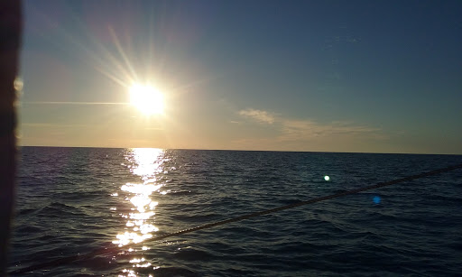 Grocery Store «Winn-Dixie», reviews and photos, 14134 US-19 #710, Hudson, FL 34667, USA