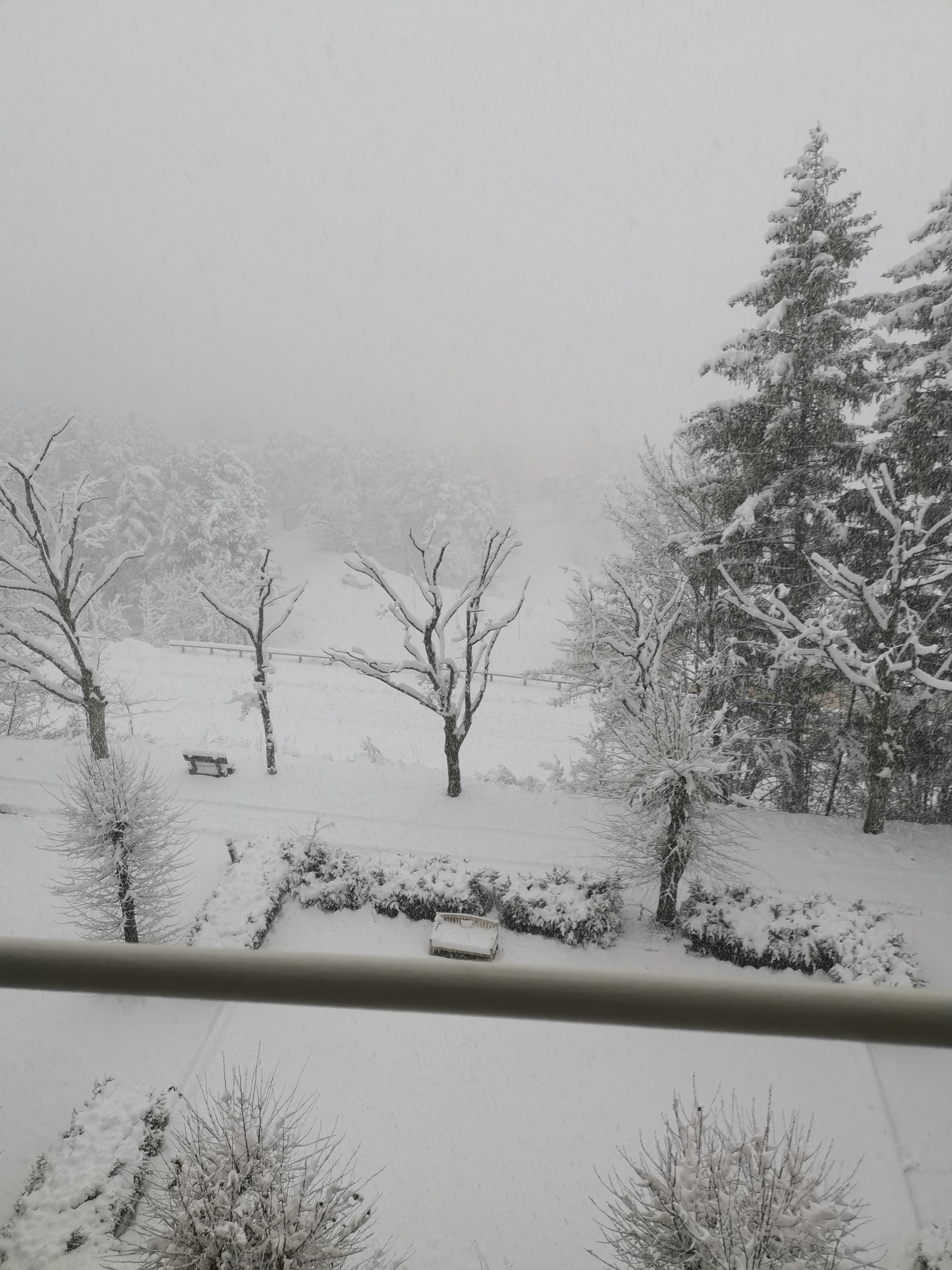 Photo n° 4 de l'avis de Dominique.o fait le 15/01/2020 à 19:17