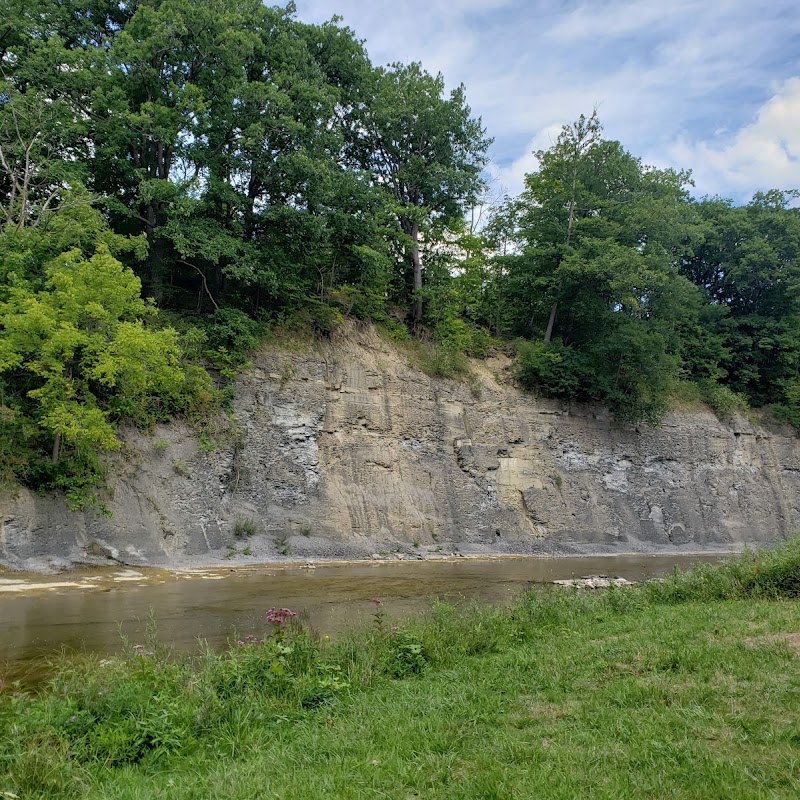 Cazenovia Creek Wildlife Management Area