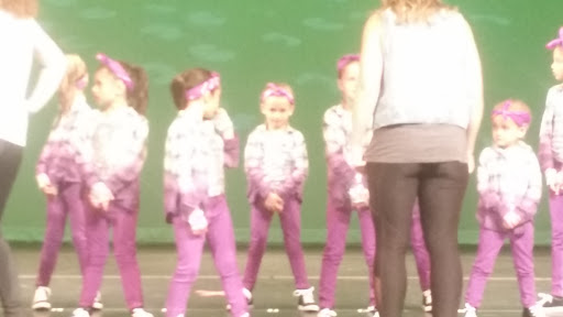 Performing Arts Theater «Timberlane Performing Arts Center», reviews and photos, 40 Greenough Rd, Plaistow, NH 03865, USA