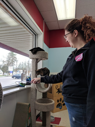 Pet Supply Store «Healthy Pet Center», reviews and photos, 237 N Greenbush Rd, Troy, NY 12180, USA