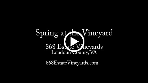 Vineyard «868 Estate Vineyards», reviews and photos, 14001 Harpers Ferry Rd, Purcellville, VA 20132, USA