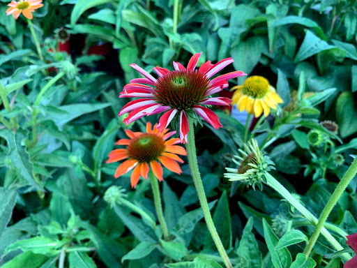 Home Improvement Store «The Home Depot», reviews and photos, 1200 Mayberry Dr, Highlands Ranch, CO 80129, USA