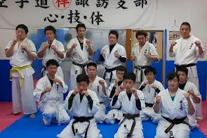 Karatedozendokai Suwa image