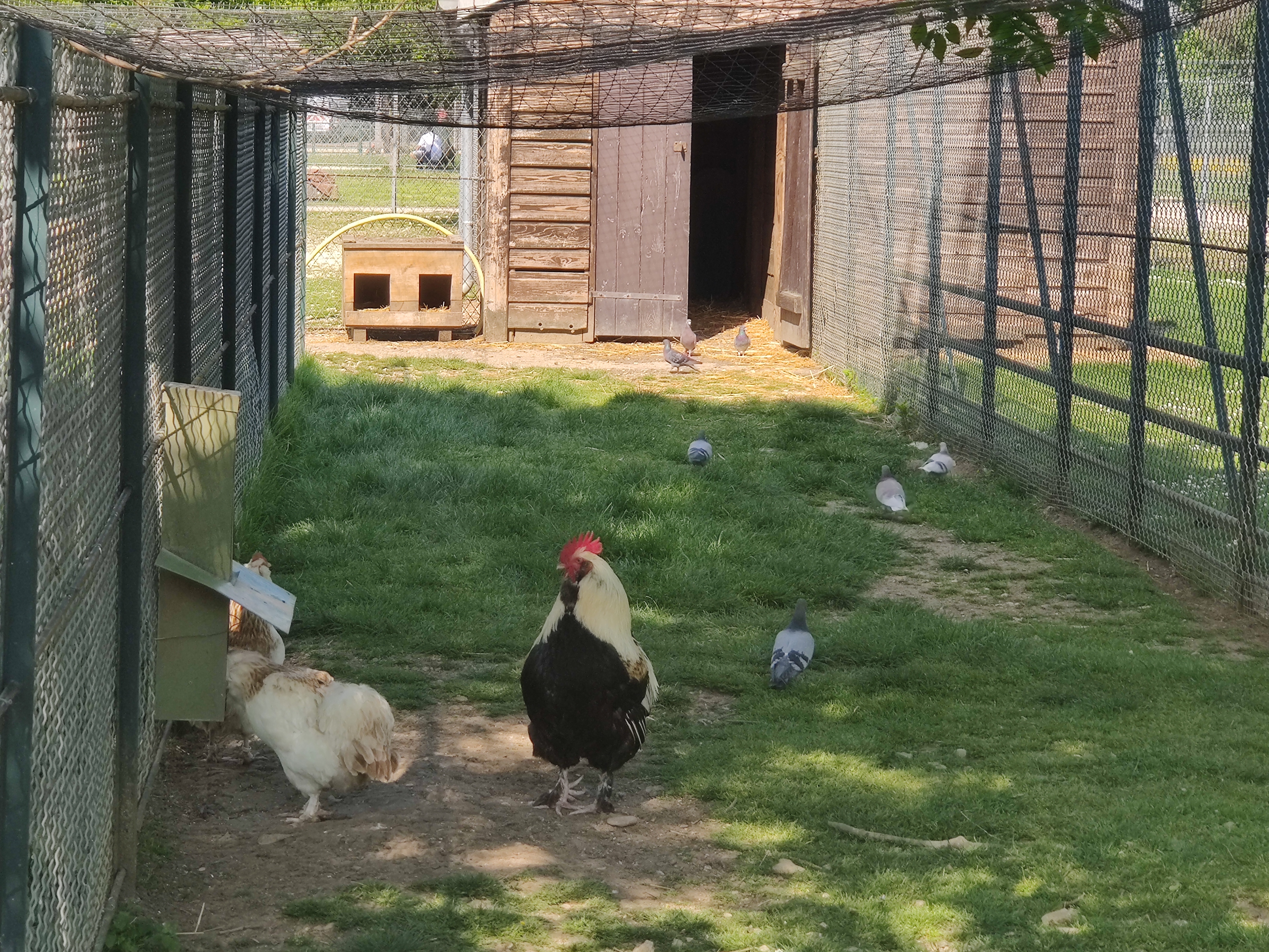 Photo n° 5 de l'avis de Carole.r fait le 01/05/2022 à 15:15