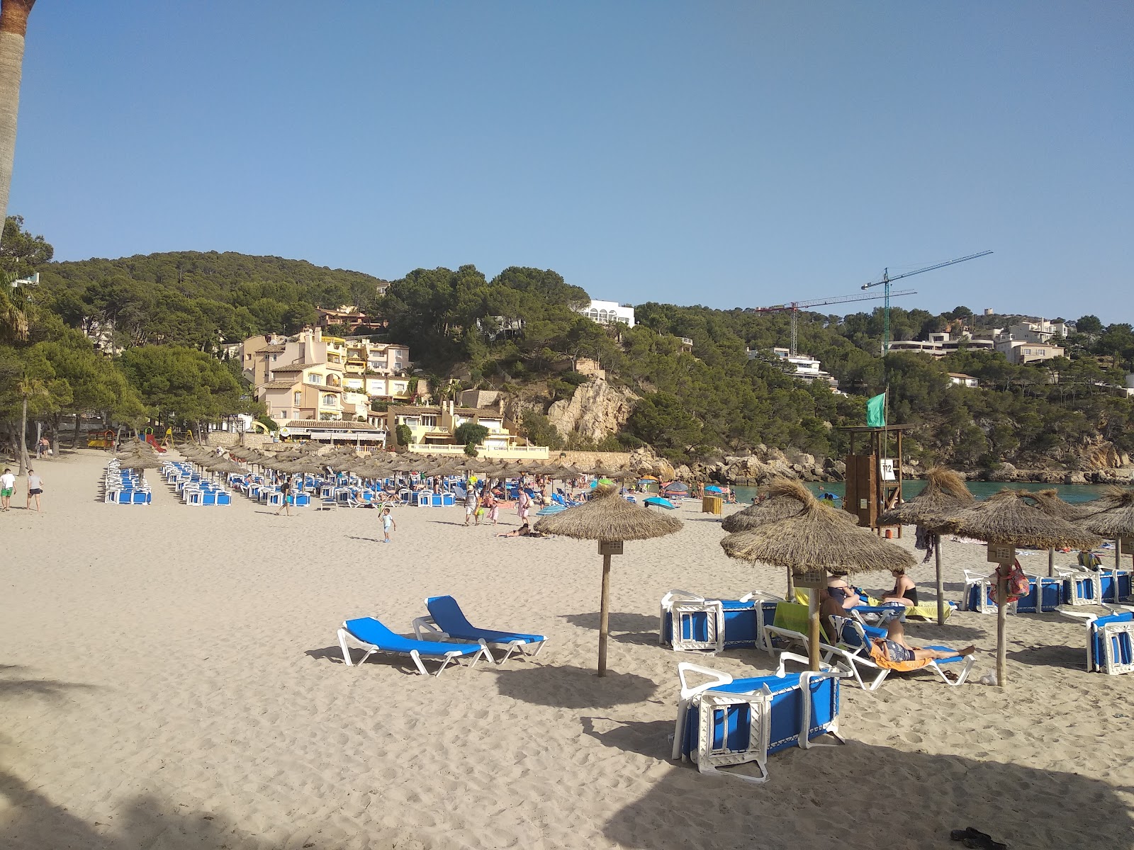 Foto di Camp De Mar beach e l'insediamento