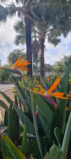 Park «Coral Gate Park», reviews and photos, Coral Lake Dr, Margate, FL 33063, USA