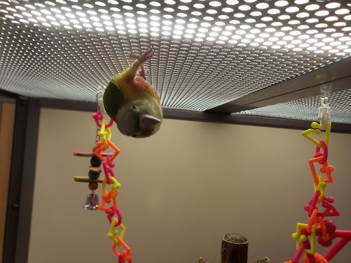 Pet Supply Store «Petco Animal Supplies», reviews and photos, 1670 Airport Blvd #700, Pensacola, FL 32504, USA