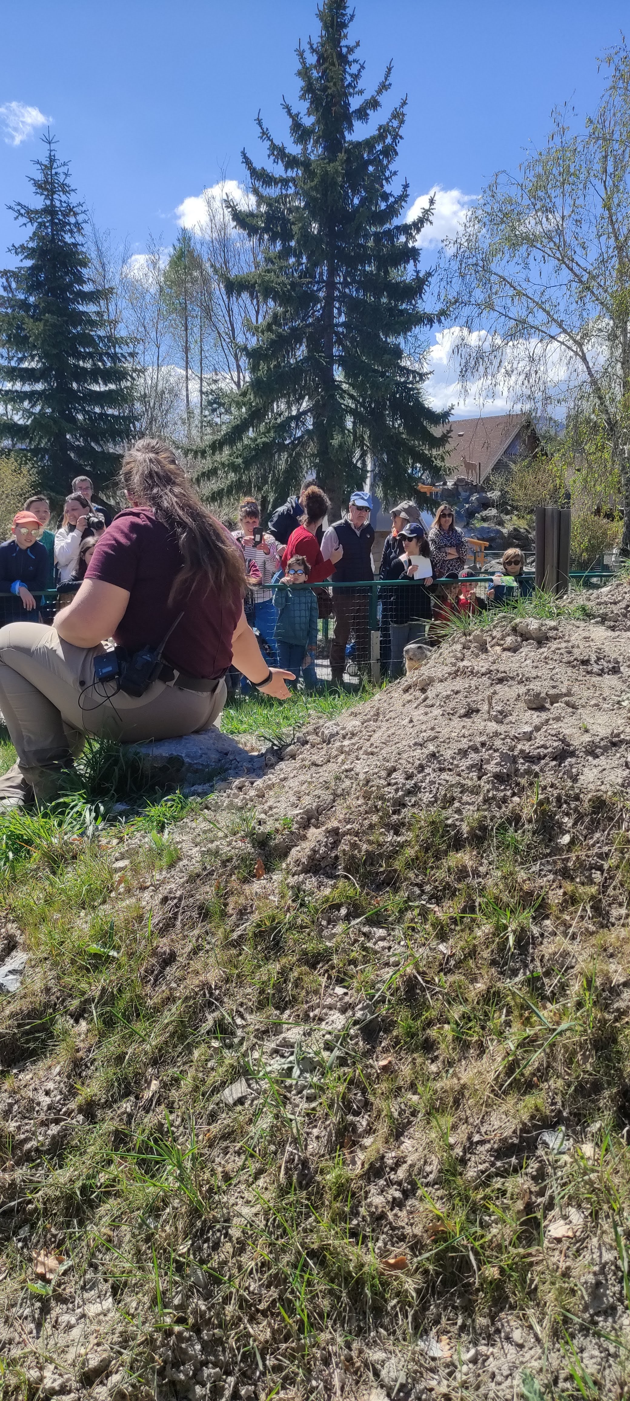 Photo n° 15 de l'avis de Alexia.a fait le 20/04/2023 à 07:36