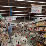 Photo n°1 de l'avis de Imerio.a fait le 18/09/2017 à 11:51 sur le  Alìper à Dueville