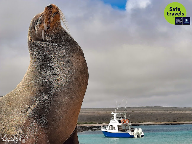 Opiniones de Galápagos Eco-Challenger en Baquerizo Moreno - Agencia de viajes